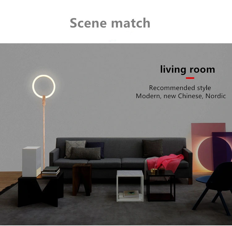 LED Living Room Standing Luminaires Nordic Lights Bedside Illumination Home Deco Lighting Bedroom Floor Lamps (WH-MFL-47)